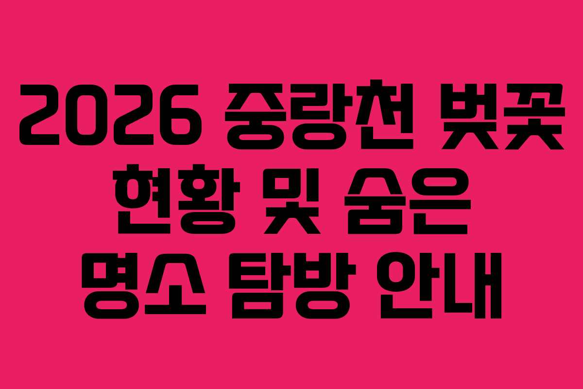 2026 중랑천 벚꽃 현황 및 숨은 명소 탐방 안내