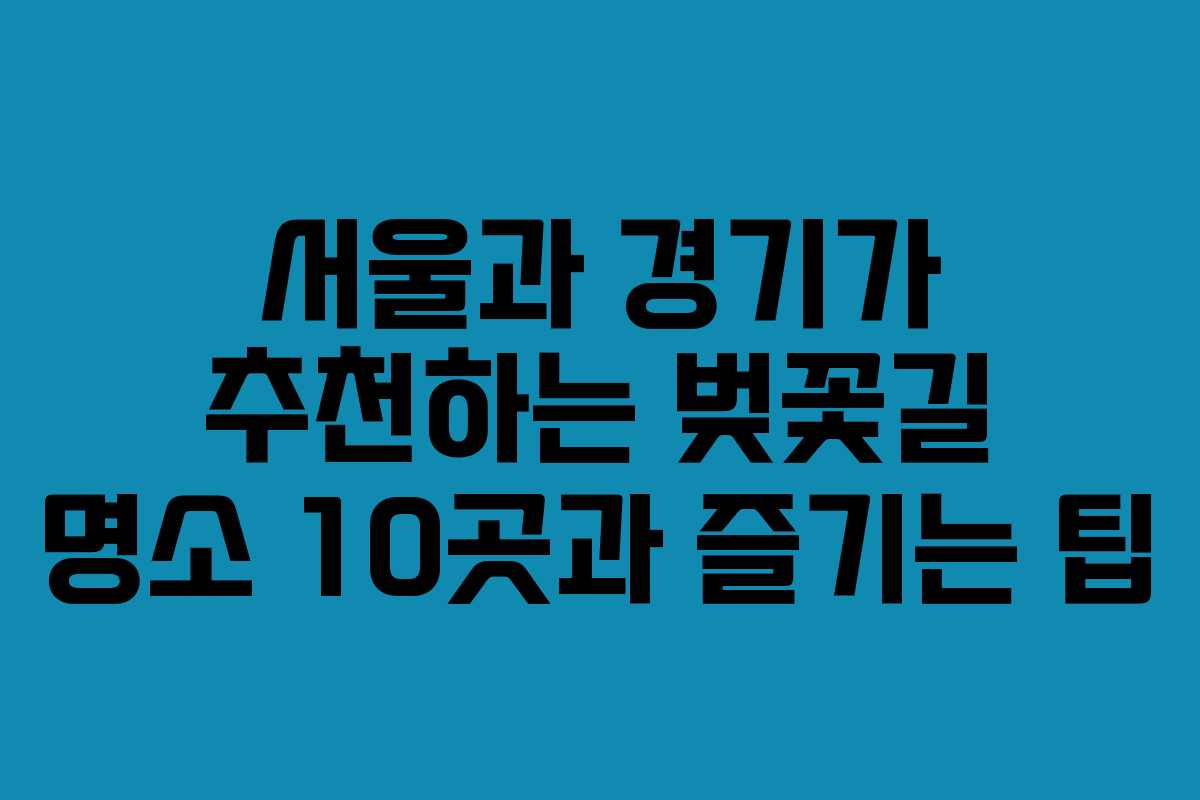 서울과 경기가 추천하는 벚꽃길 명소 10곳과 즐기는 팁