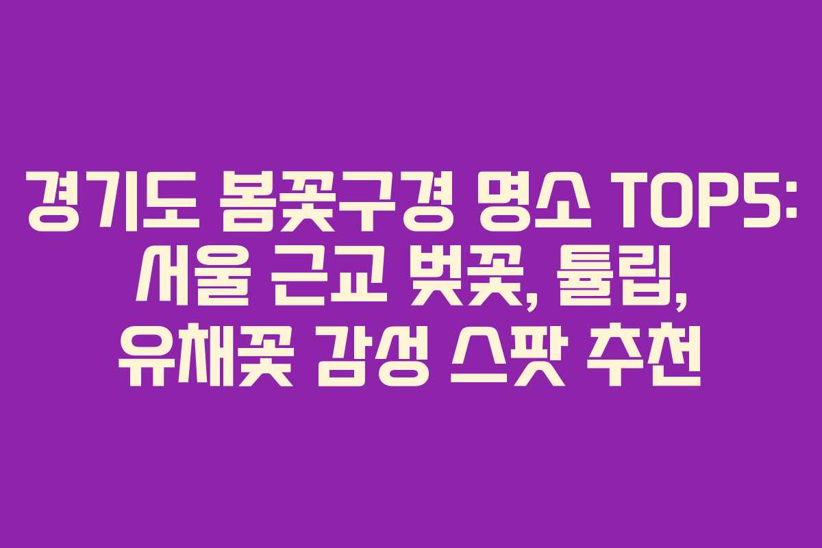 경기도 봄꽃구경 명소 TOP5: 서울 근교 벚꽃, 튤립, 유채꽃 감성 스팟 추천