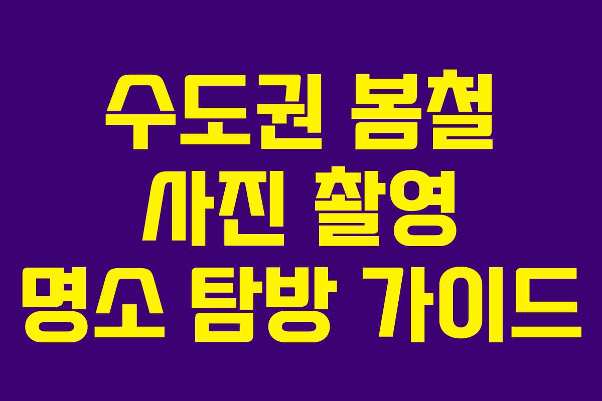 수도권 봄철 사진 촬영 명소 탐방 가이드