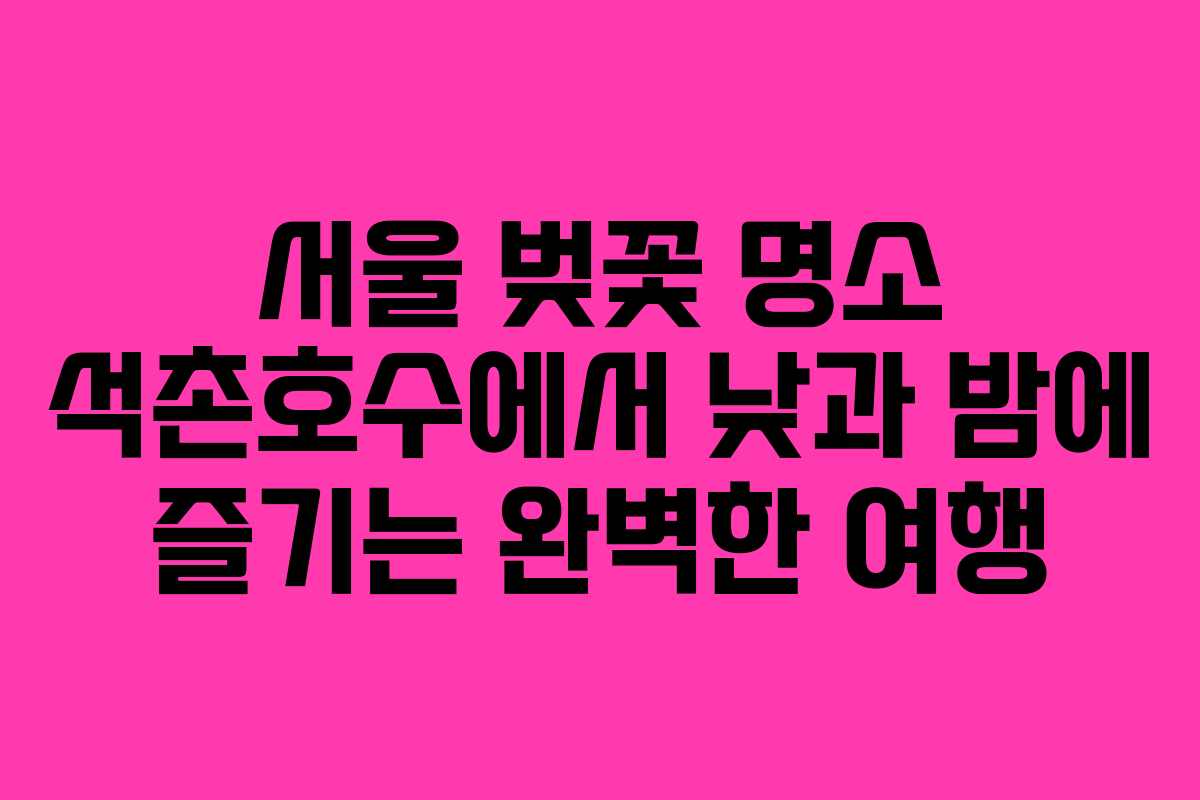 서울 벚꽃 명소 석촌호수에서 낮과 밤에 즐기는 완벽한 여행