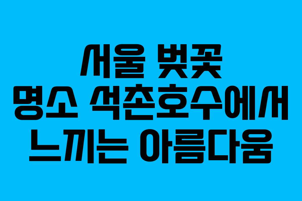 서울 벚꽃 명소 석촌호수에서 느끼는 아름다움