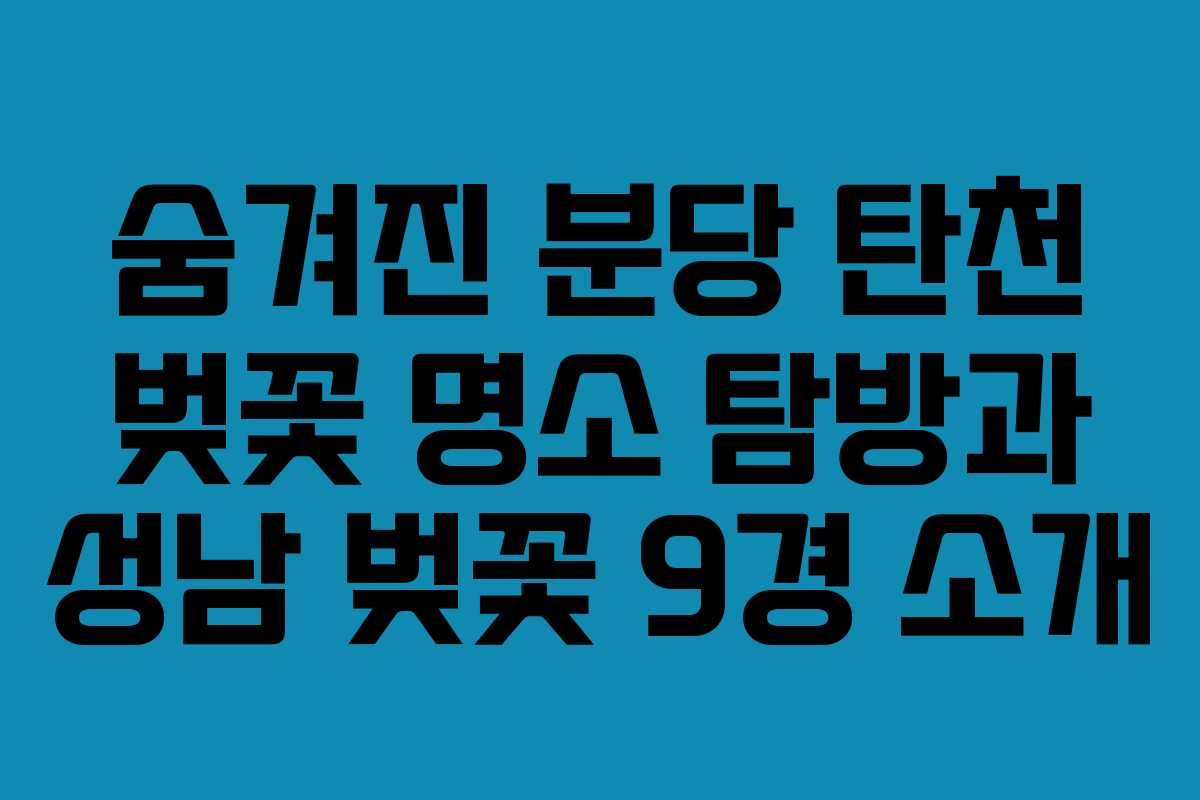 숨겨진 분당 탄천 벚꽃 명소 탐방과 성남 벚꽃 9경 소개