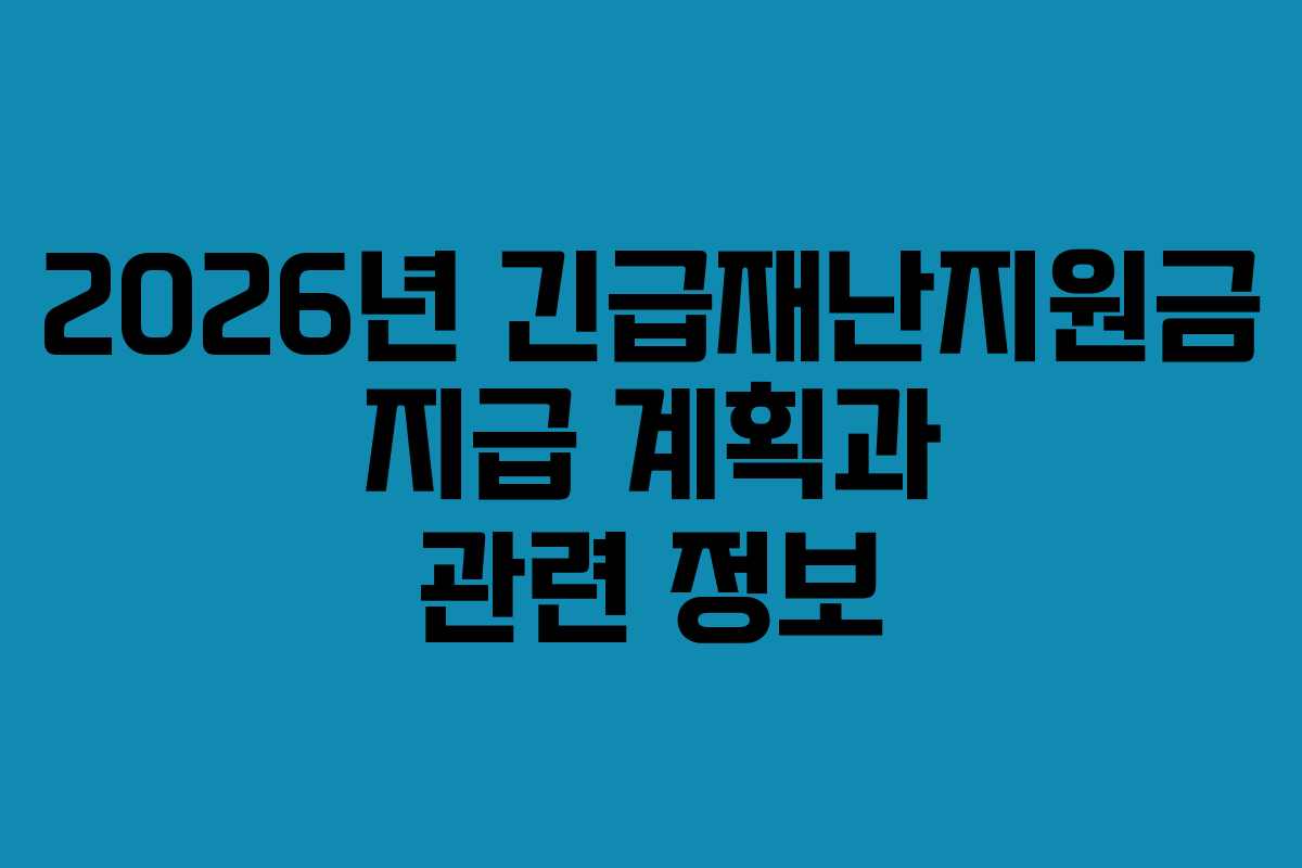 2026년 긴급재난지원금 지급 계획과 관련 정보