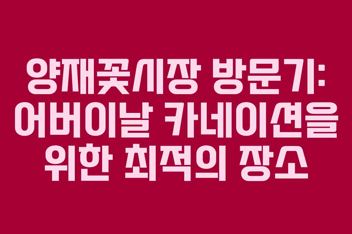 양재꽃시장 방문기: 어버이날 카네이션을 위한 최적의 장소