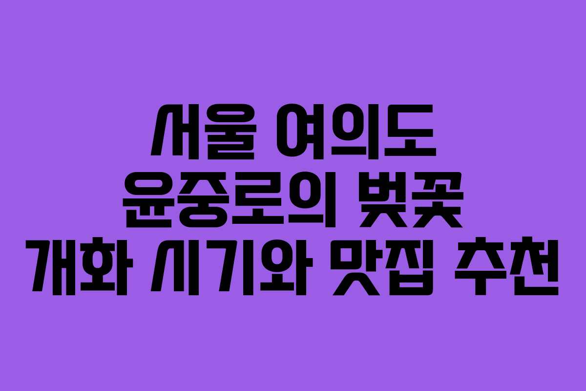 서울 여의도 윤중로의 벚꽃 개화 시기와 맛집 추천