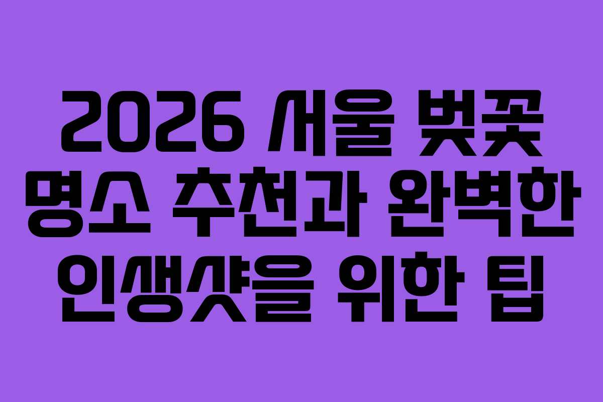 2026 서울 벚꽃 명소 추천과 완벽한 인생샷을 위한 팁