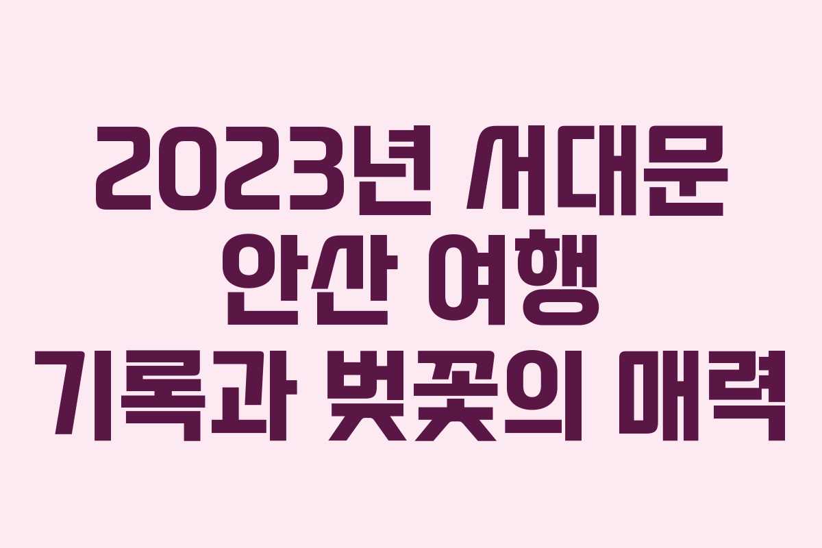 2023년 서대문 안산 여행 기록과 벚꽃의 매력
