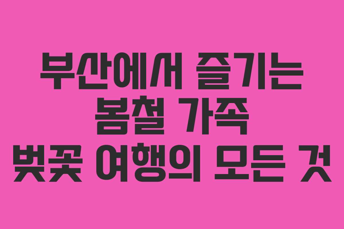 부산에서 즐기는 봄철 가족 벚꽃 여행의 모든 것