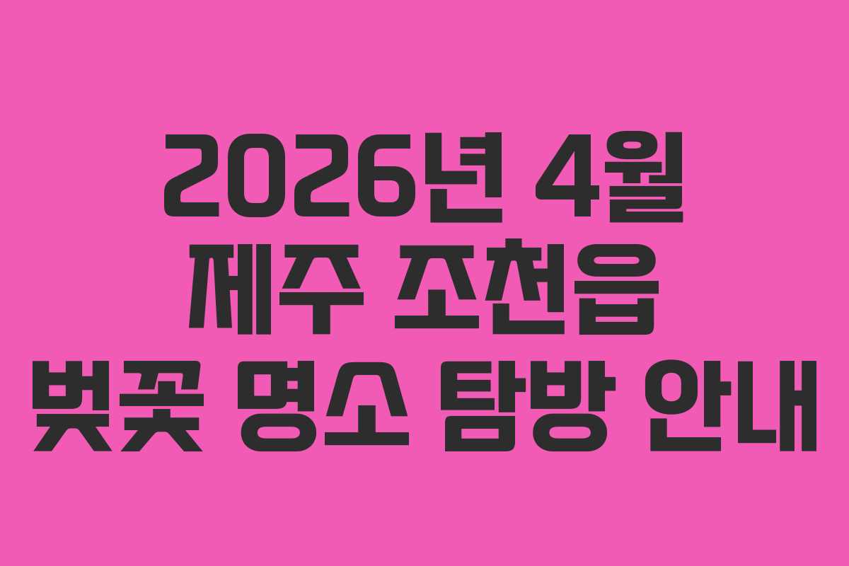 2026년 4월 제주 조천읍 벚꽃 명소 탐방 안내 2026년 4월 제주 조천읍 벚꽃 명소 탐방 안내