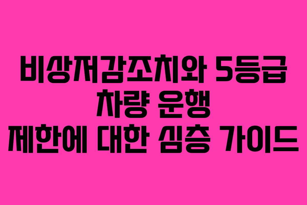 비상저감조치와 5등급 차량 운행 제한에 대한 심층 가이드