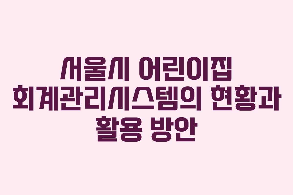 서울시 어린이집 회계관리시스템의 현황과 활용 방안