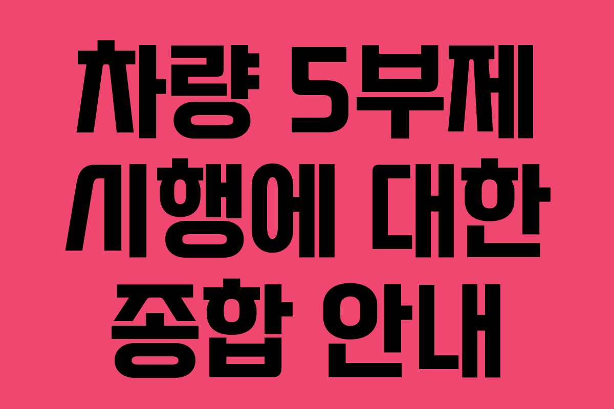 차량 5부제 시행에 대한 종합 안내