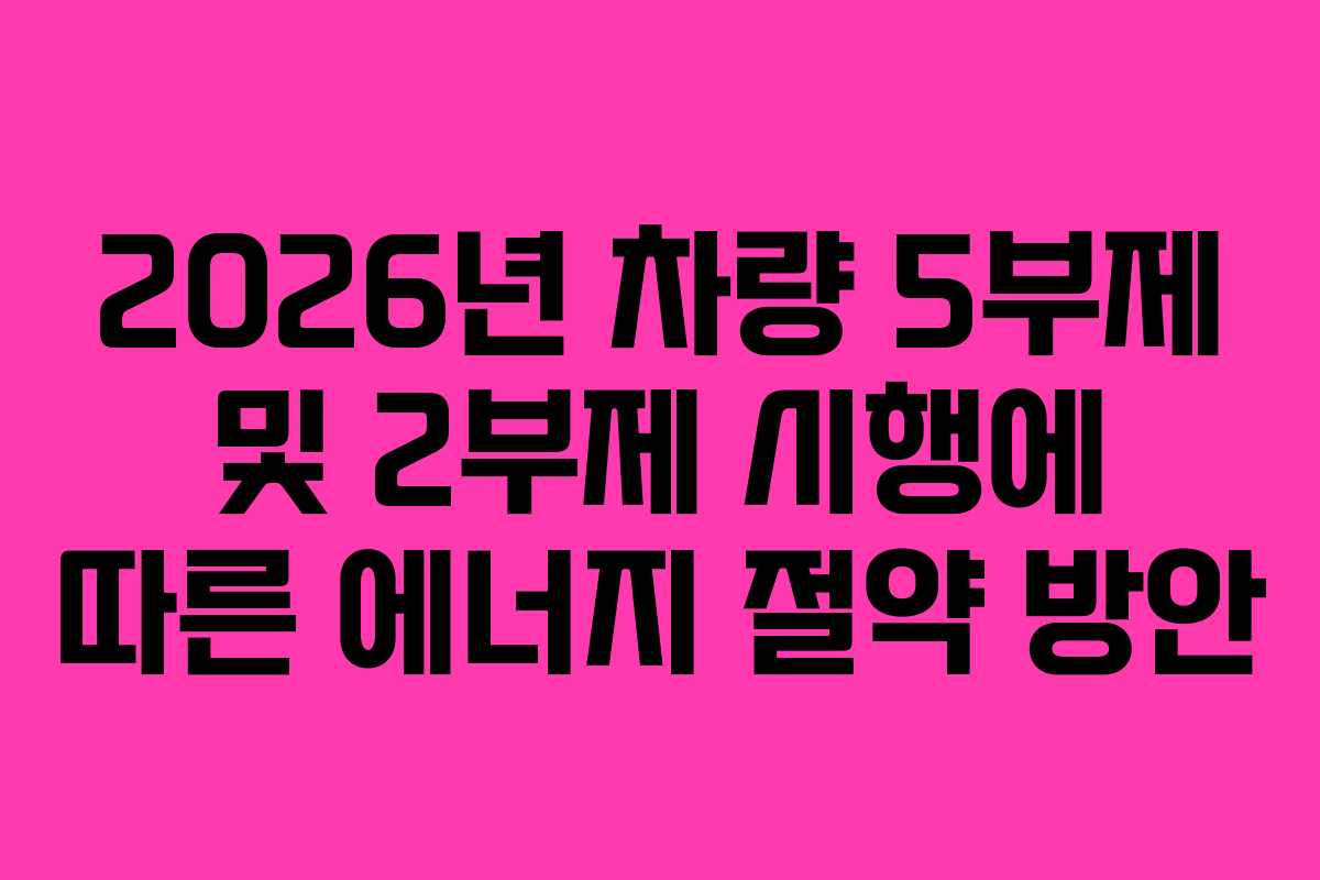 2026년 차량 5부제 및 2부제 시행에 따른 에너지 절약 방안