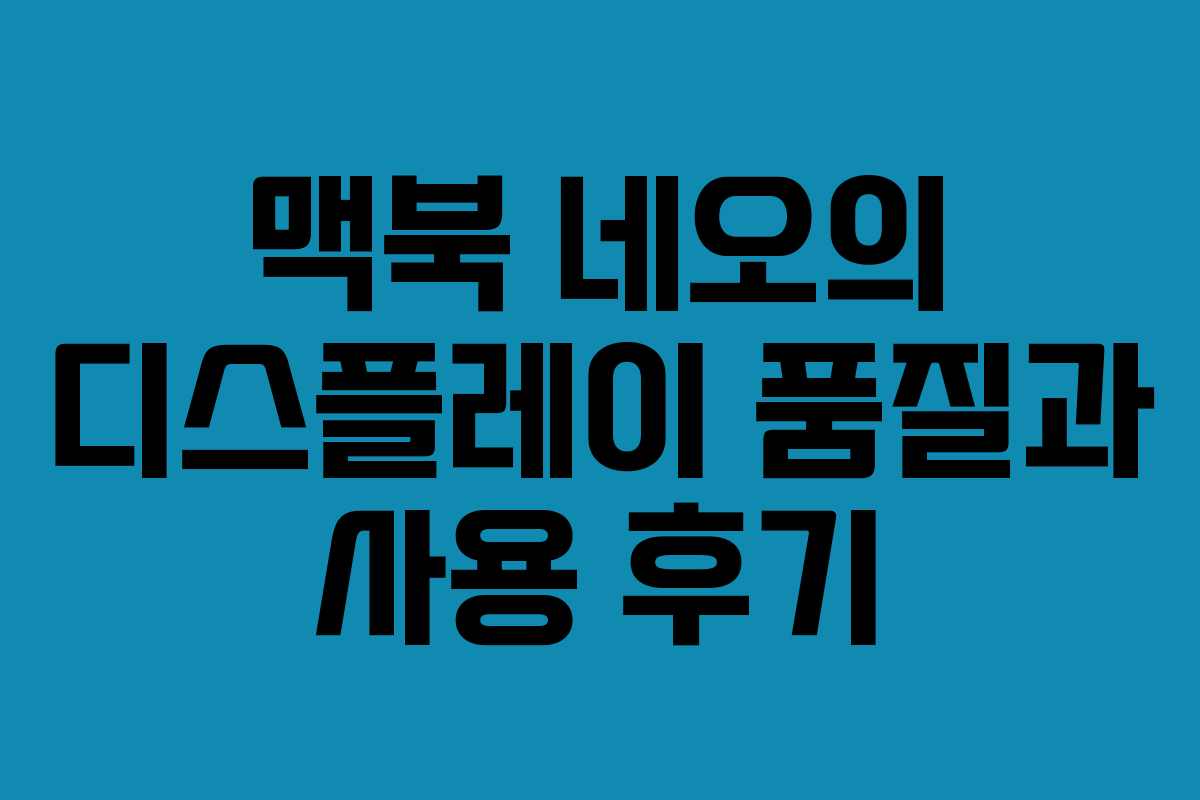 맥북 네오의 디스플레이 품질과 사용 후기