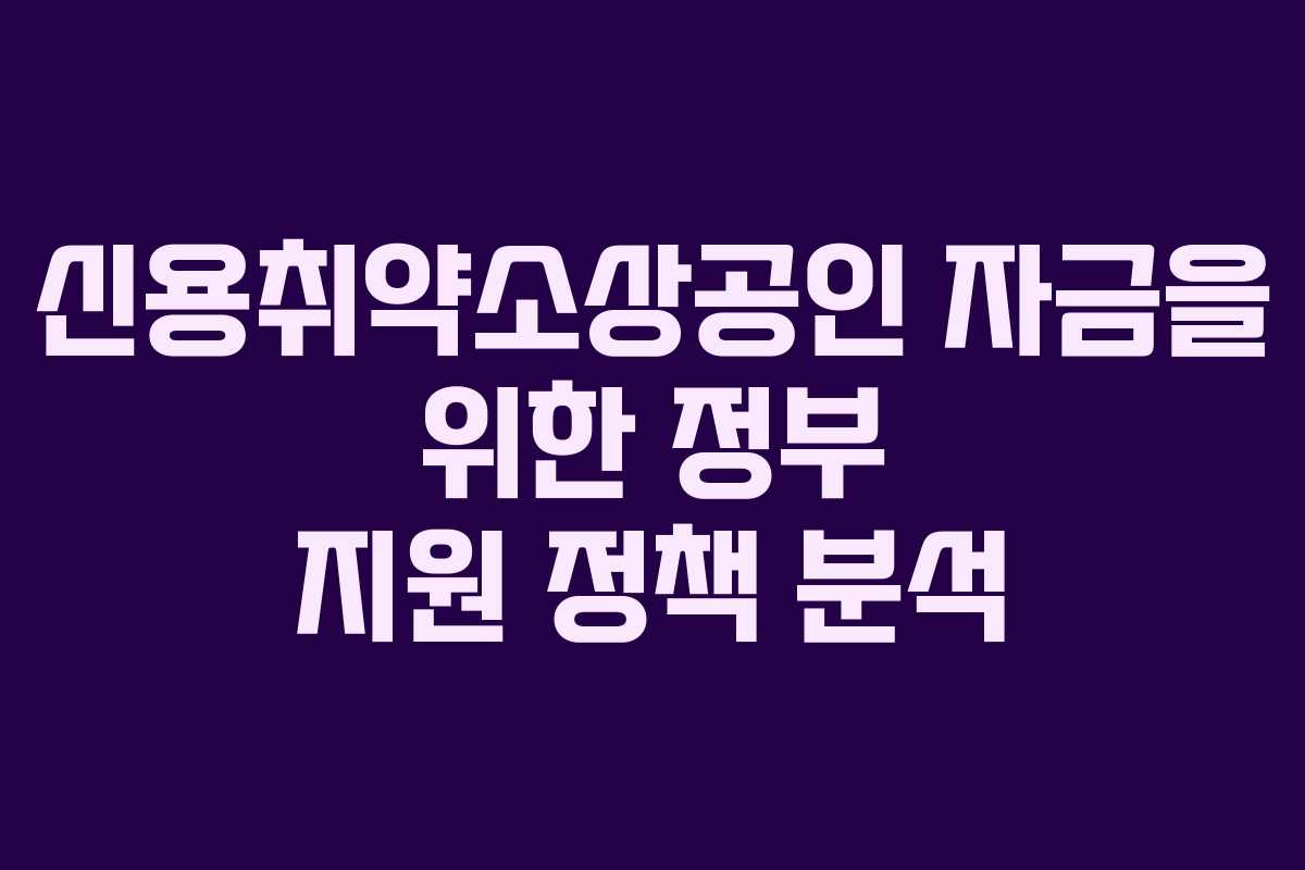 신용취약소상공인 자금을 위한 정부 지원 정책 분석 신용취약소상공인 자금을 위한 정부 지원 정책 분석