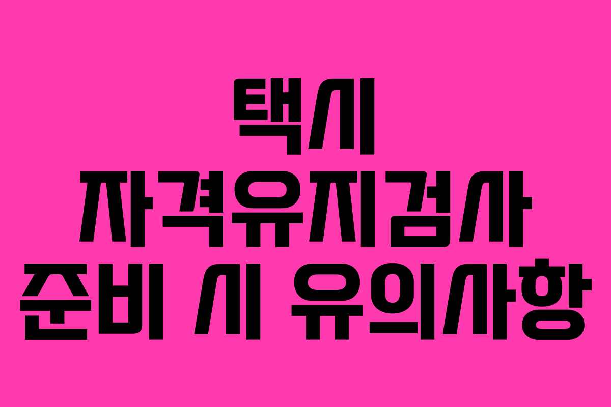 택시 자격유지검사 준비 시 유의사항 택시 자격유지검사 준비 시 유의사항