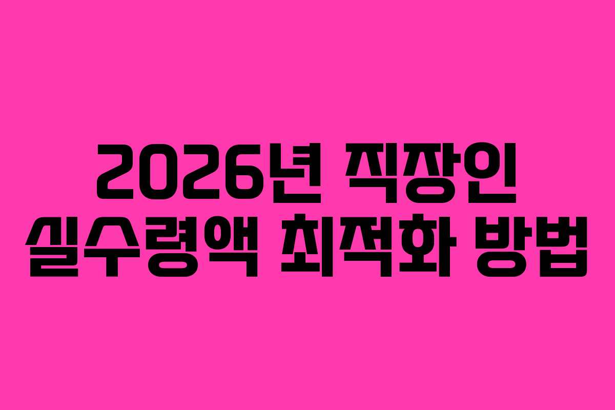 2026년 직장인 실수령액 최적화 방법