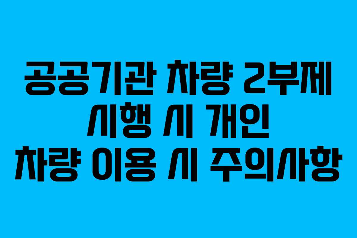 공공기관 차량 2부제 시행 시 개인 차량 이용 시 주의사항