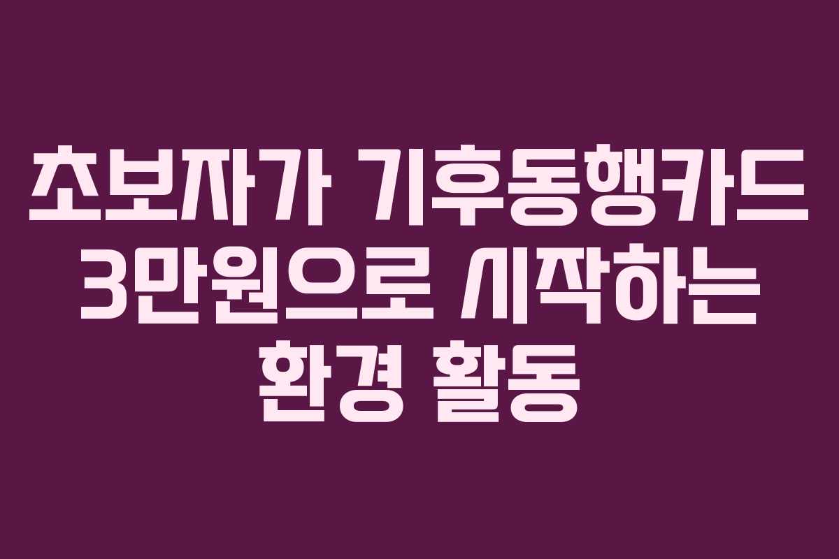 초보자가 기후동행카드 3만원으로 시작하는 환경 활동