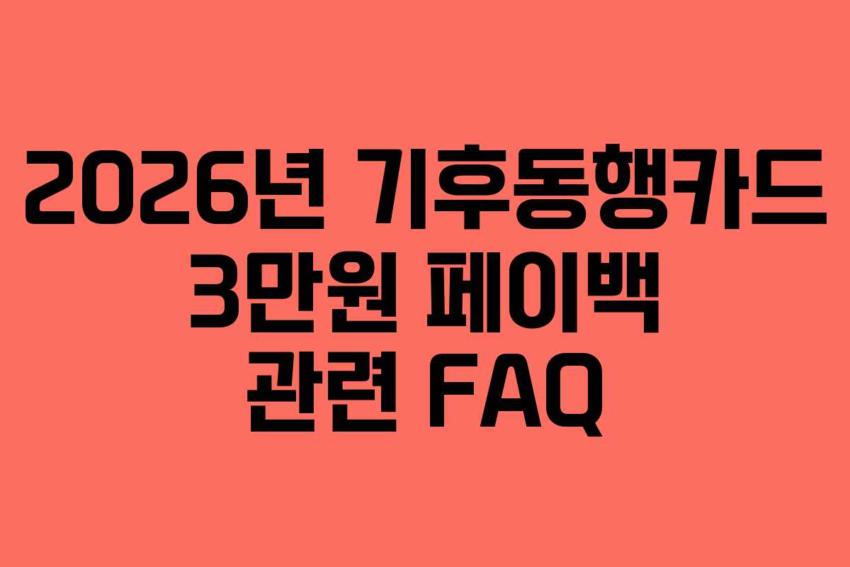 2026년 기후동행카드 3만원 페이백 관련 FAQ