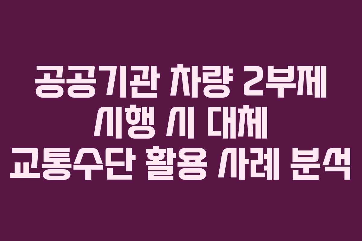 공공기관 차량 2부제 시행 시 대체 교통수단 활용 사례 분석