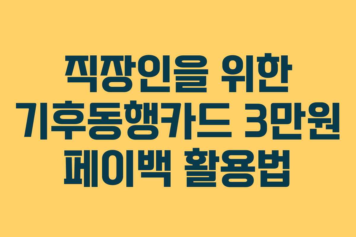 직장인을 위한 기후동행카드 3만원 페이백 활용법