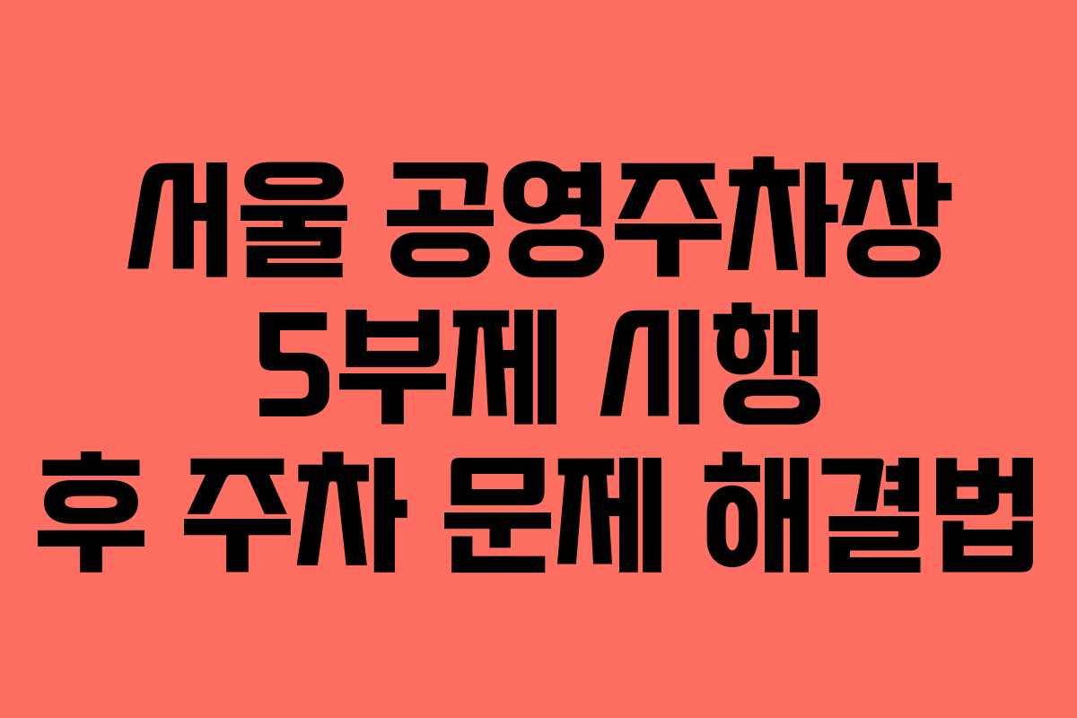 서울 공영주차장 5부제 시행 후 주차 문제 해결법