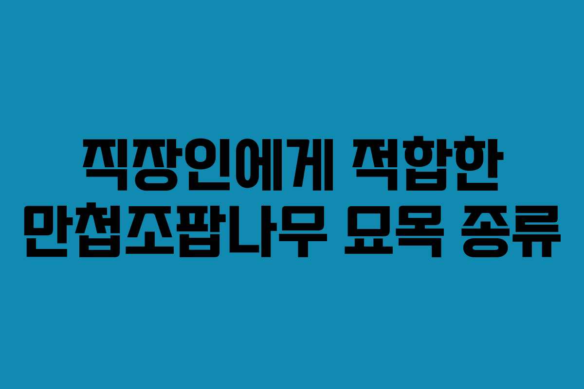 직장인에게 적합한 만첩조팝나무 묘목 종류