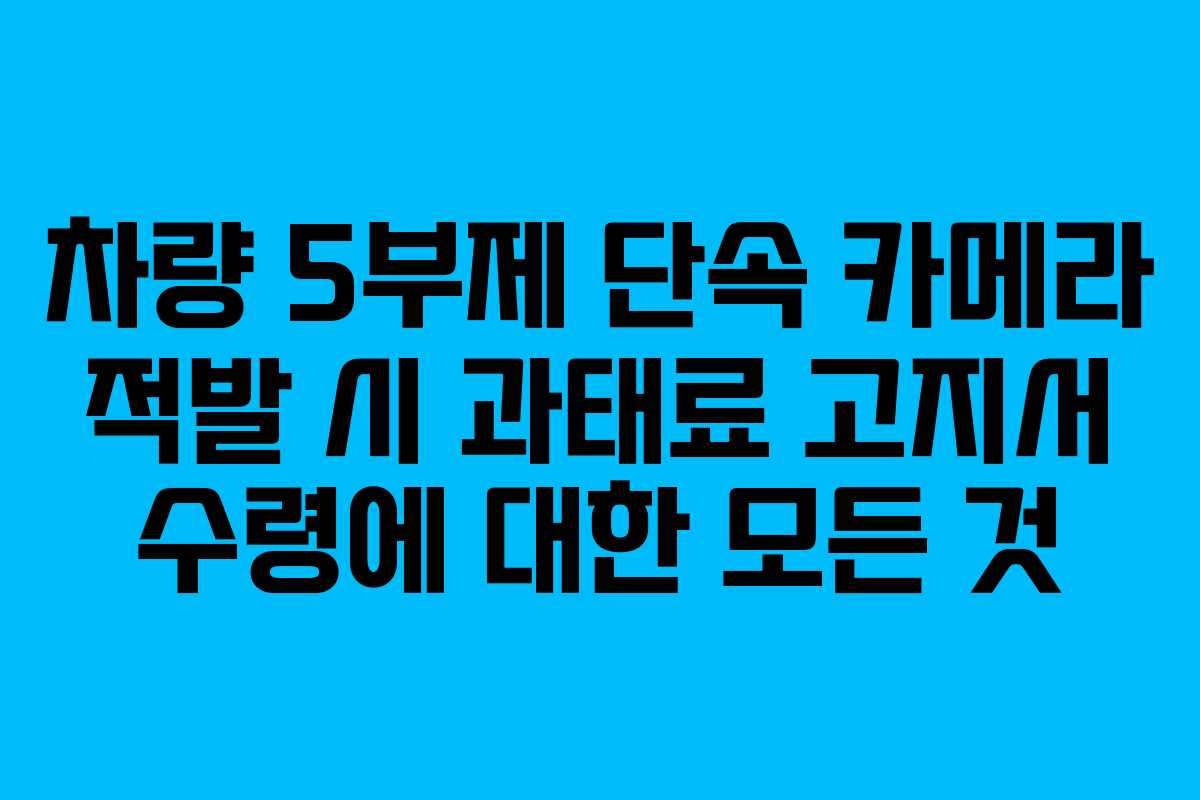 차량 5부제 단속 카메라 적발 시 과태료 고지서 수령에 대한 모든 것