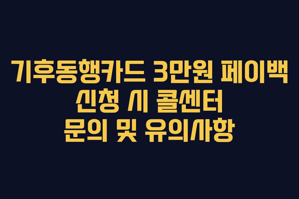 기후동행카드 3만원 페이백 신청 시 콜센터 문의 및 유의사항