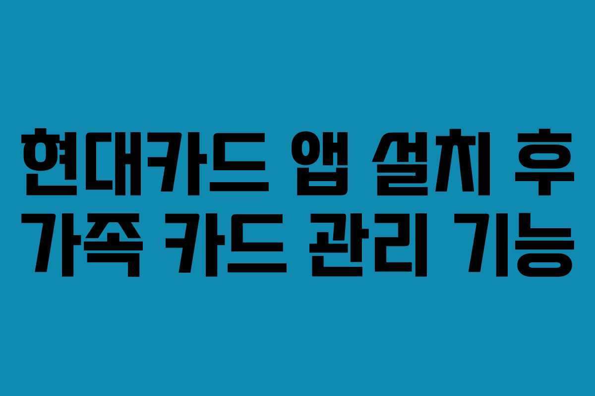 현대카드 앱 설치 후 가족 카드 관리 기능