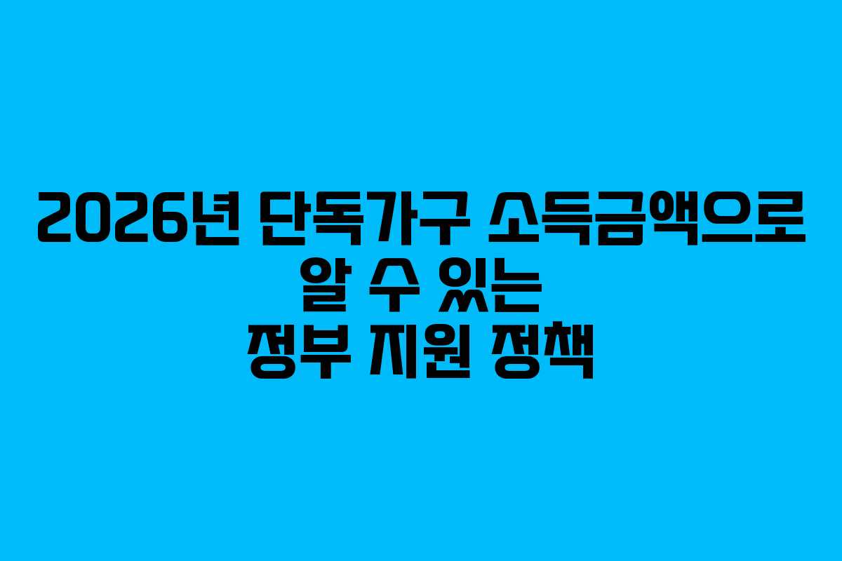 2026년 단독가구 소득금액으로 알 수 있는 정부 지원 정책