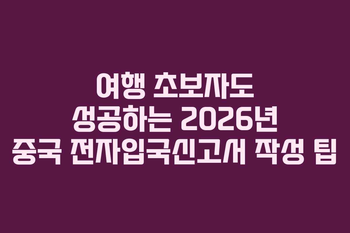 여행 초보자도 성공하는 2026년 중국 전자입국신고서 작성 팁