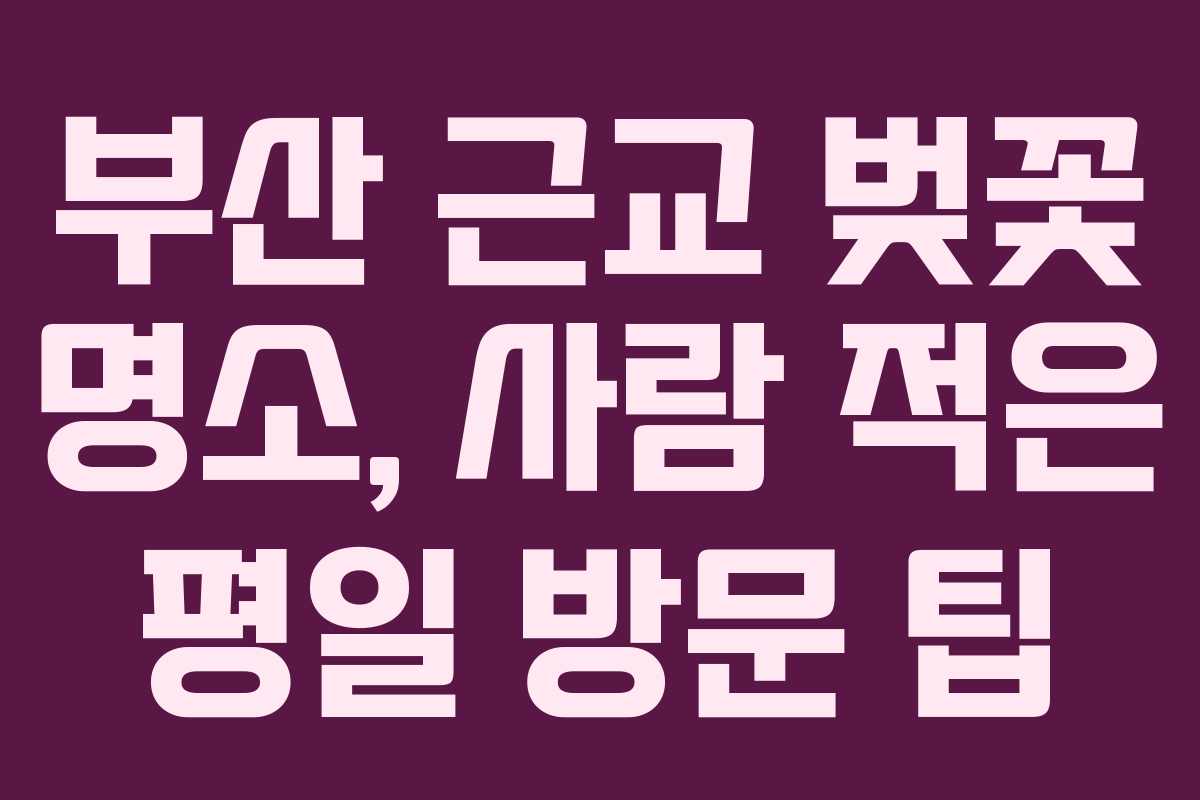 부산 근교 벚꽃 명소, 사람 적은 평일 방문 팁