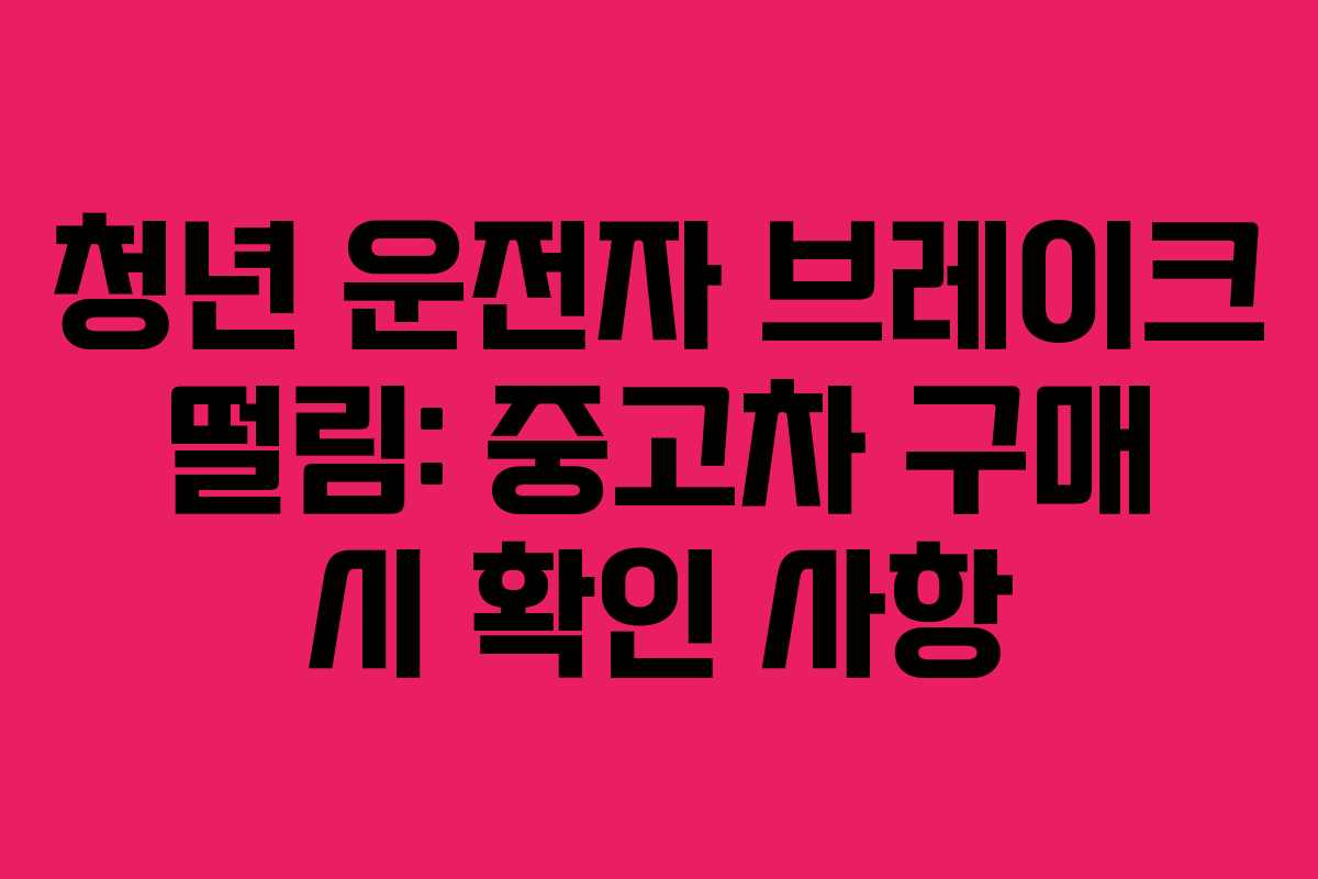 청년 운전자 브레이크 떨림: 중고차 구매 시 확인 사항