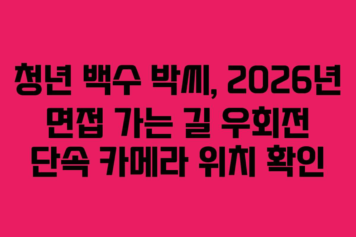 청년 백수 박씨, 2026년 면접 가는 길 우회전 단속 카메라 위치 확인