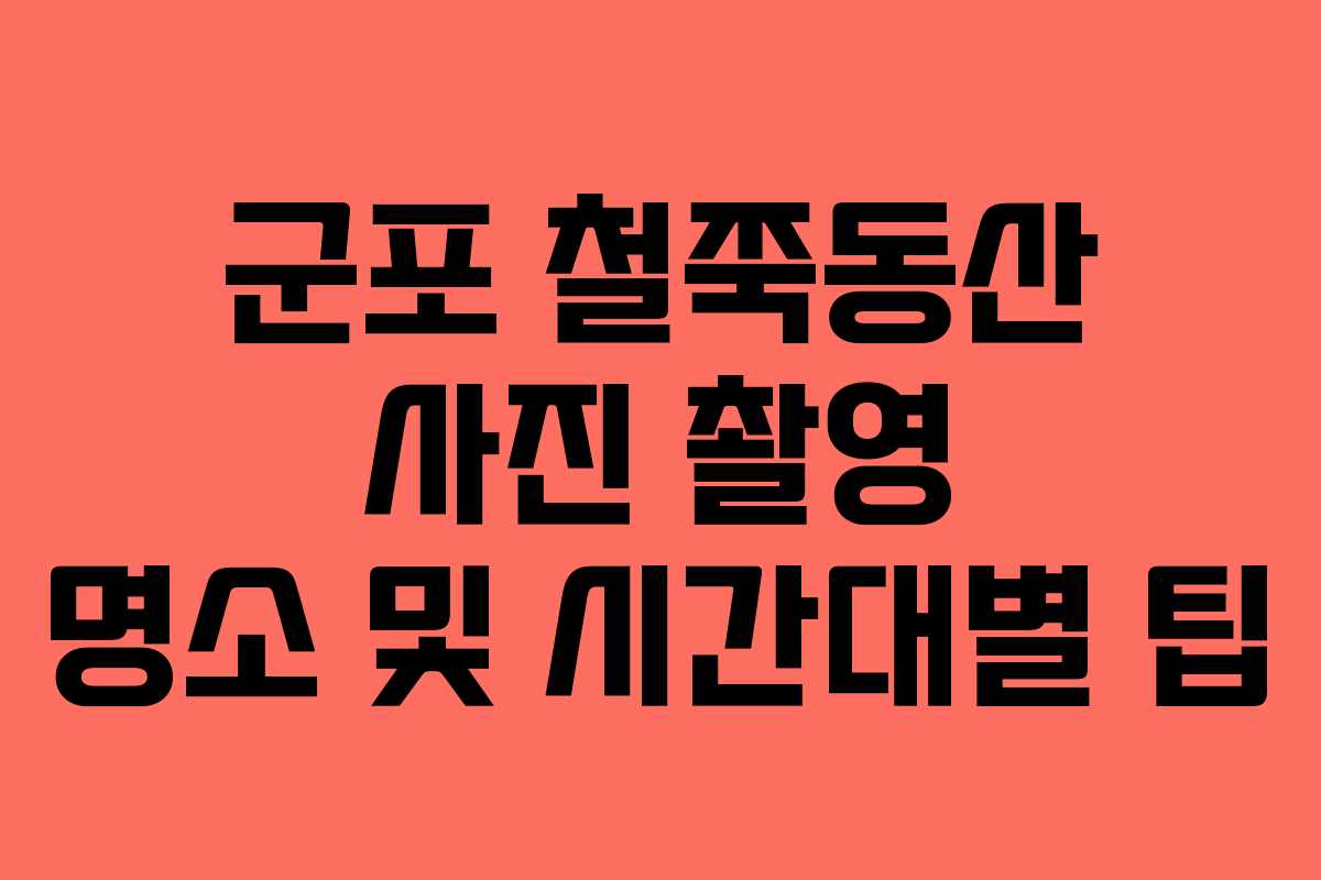 군포 철쭉동산 사진 촬영 명소 및 시간대별 팁