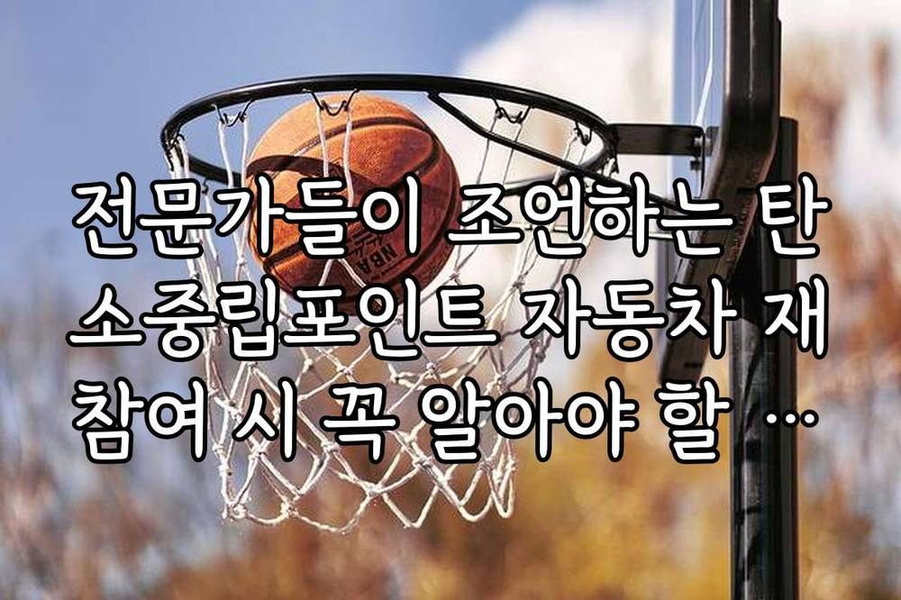 전문가들이 조언하는 탄소중립포인트 자동차 재참여 시 꼭 알아야 할 노하우