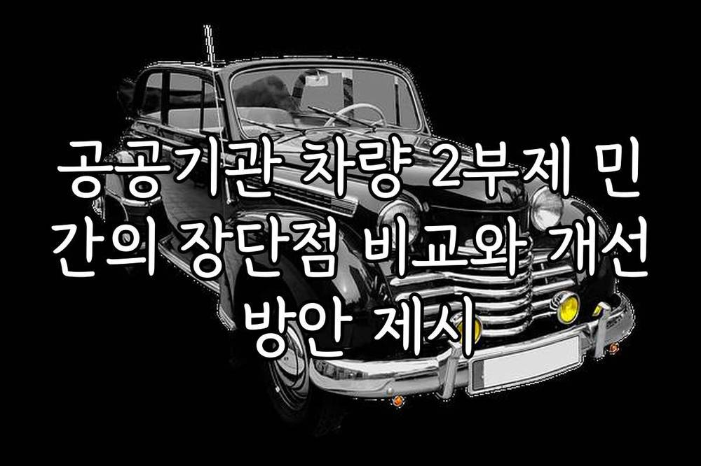 공공기관 차량 2부제 민간의 장단점 비교와 개선 방안 제시