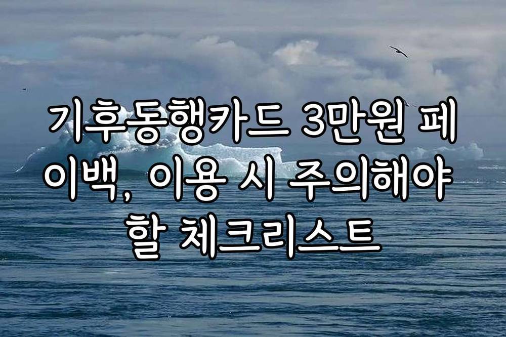 기후동행카드 3만원 페이백, 이용 시 주의해야 할 체크리스트