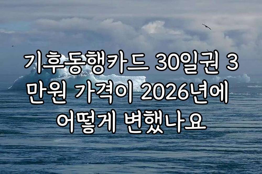 기후동행카드 30일권 3만원 가격이 2026년에 어떻게 변했나요