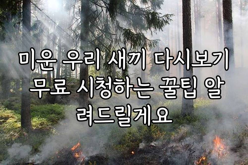 미운 우리 새끼 다시보기 무료 시청하는 꿀팁 알려드릴게요