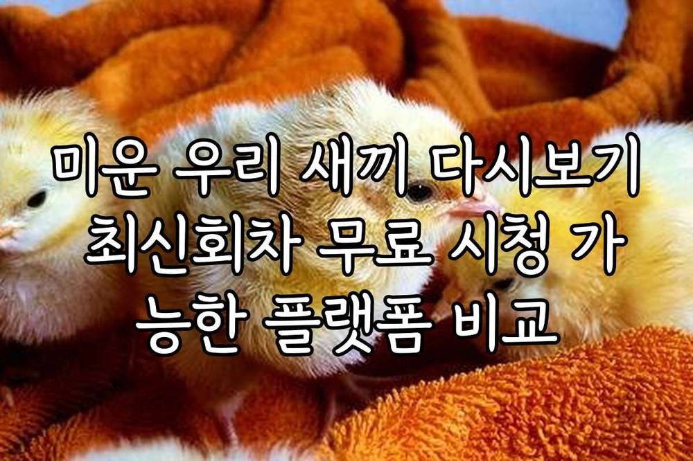 미운 우리 새끼 다시보기 최신회차 무료 시청 가능한 플랫폼 비교