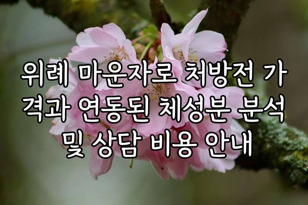 위례 마운자로 처방전 가격과 연동된 체성분 분석 및 상담 비용 안내