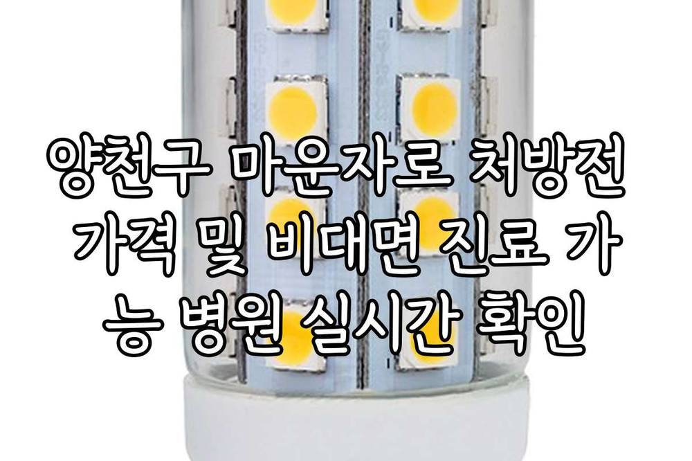 양천구 마운자로 처방전 가격 및 비대면 진료 가능 병원 실시간 확인