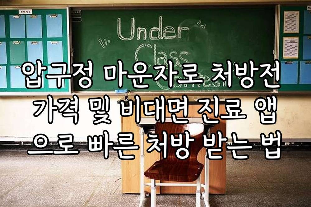 압구정 마운자로 처방전 가격 및 비대면 진료 앱으로 빠른 처방 받는 법