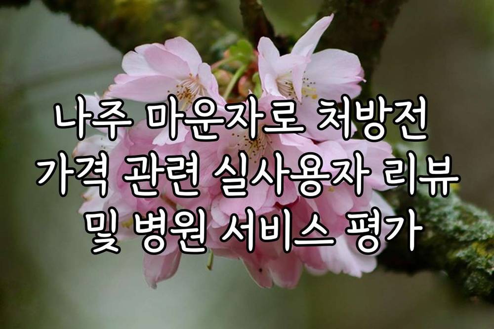나주 마운자로 처방전 가격 관련 실사용자 리뷰 및 병원 서비스 평가