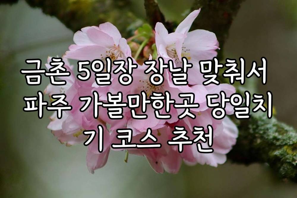 금촌 5일장 장날 맞춰서 파주 가볼만한곳 당일치기 코스 추천