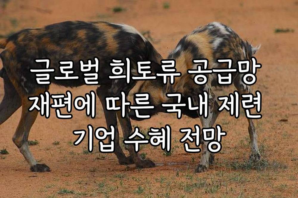 글로벌 희토류 공급망 재편에 따른 국내 제련 기업 수혜 전망